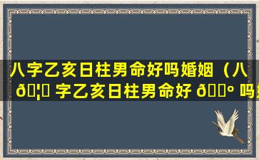 八字乙亥日柱男命好吗婚姻（八 🦅 字乙亥日柱男命好 🌺 吗婚姻怎么样）